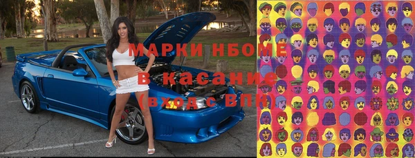сатива Каменск-Шахтинский