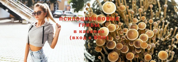 сатива Каменск-Шахтинский