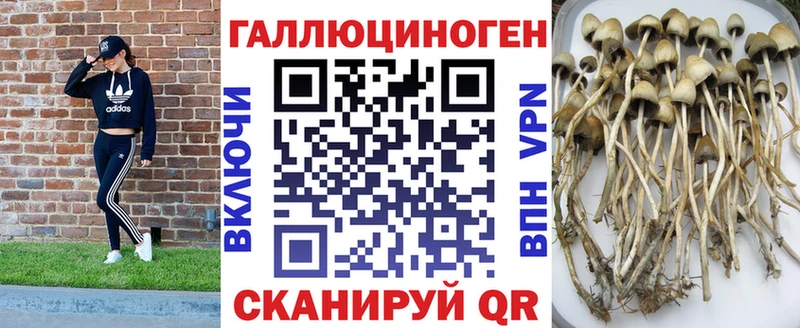 Галлюциногенные грибы Psilocybe  купить   mega как войти  Мариинск 